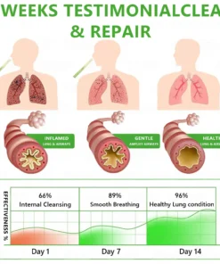 NEYEROS® 𝐁𝐨𝐭𝐚𝐧𝐢𝐜𝐚𝐥 𝐌𝐮𝐥𝐥𝐞𝐢𝐧 𝐑𝐞𝐬𝐩𝐢𝐫𝐚𝐭𝐨𝐫𝐲 𝐈𝐧𝐡𝐚𝐥𝐞𝐫